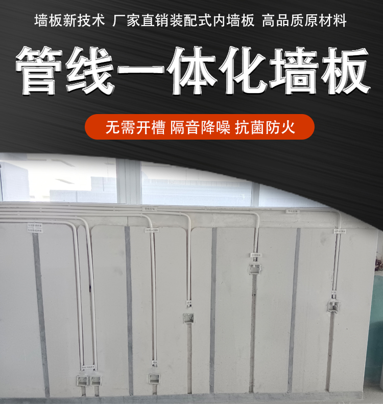 管线一体化板1